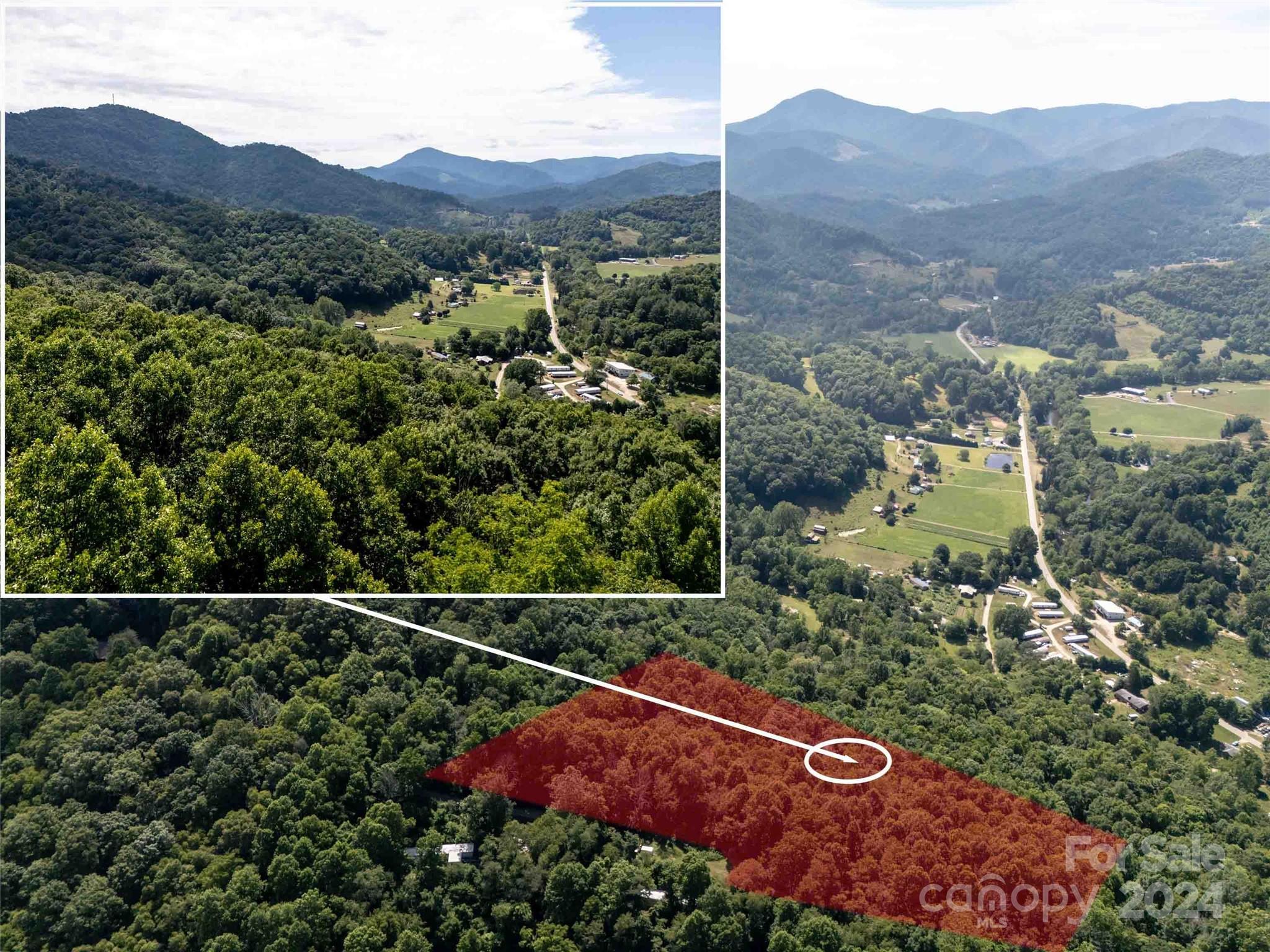 0 Aquarius Road Canton, NC 28716 - Photo 2 of 13 a view of a back yard