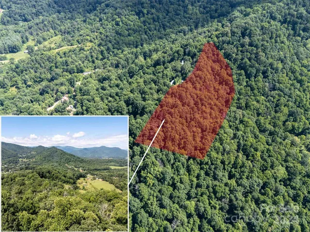 a view of an outdoor space and a forest