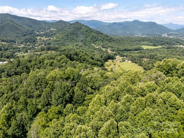 a view of a lush green hillside and a mountain