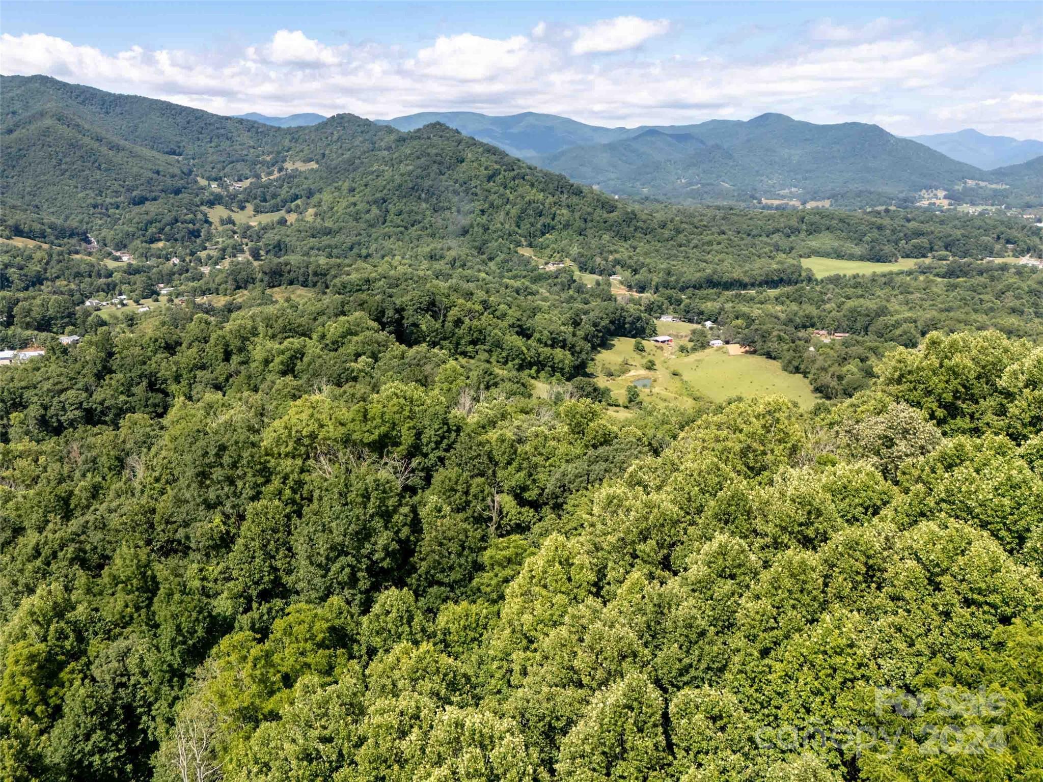 0 Aquarius Road Canton, NC 28716 - Photo 6 of 13 a view of a lush green hillside and a mountain