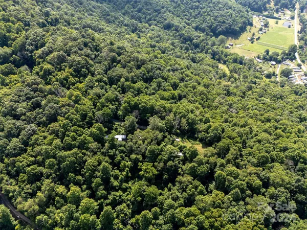 view of a field of grass and trees
