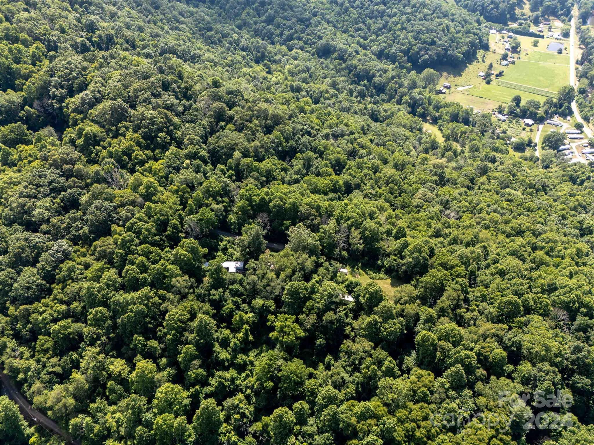 0 Aquarius Road Canton, NC 28716 - Photo 10 of 13 view of a field of grass and trees