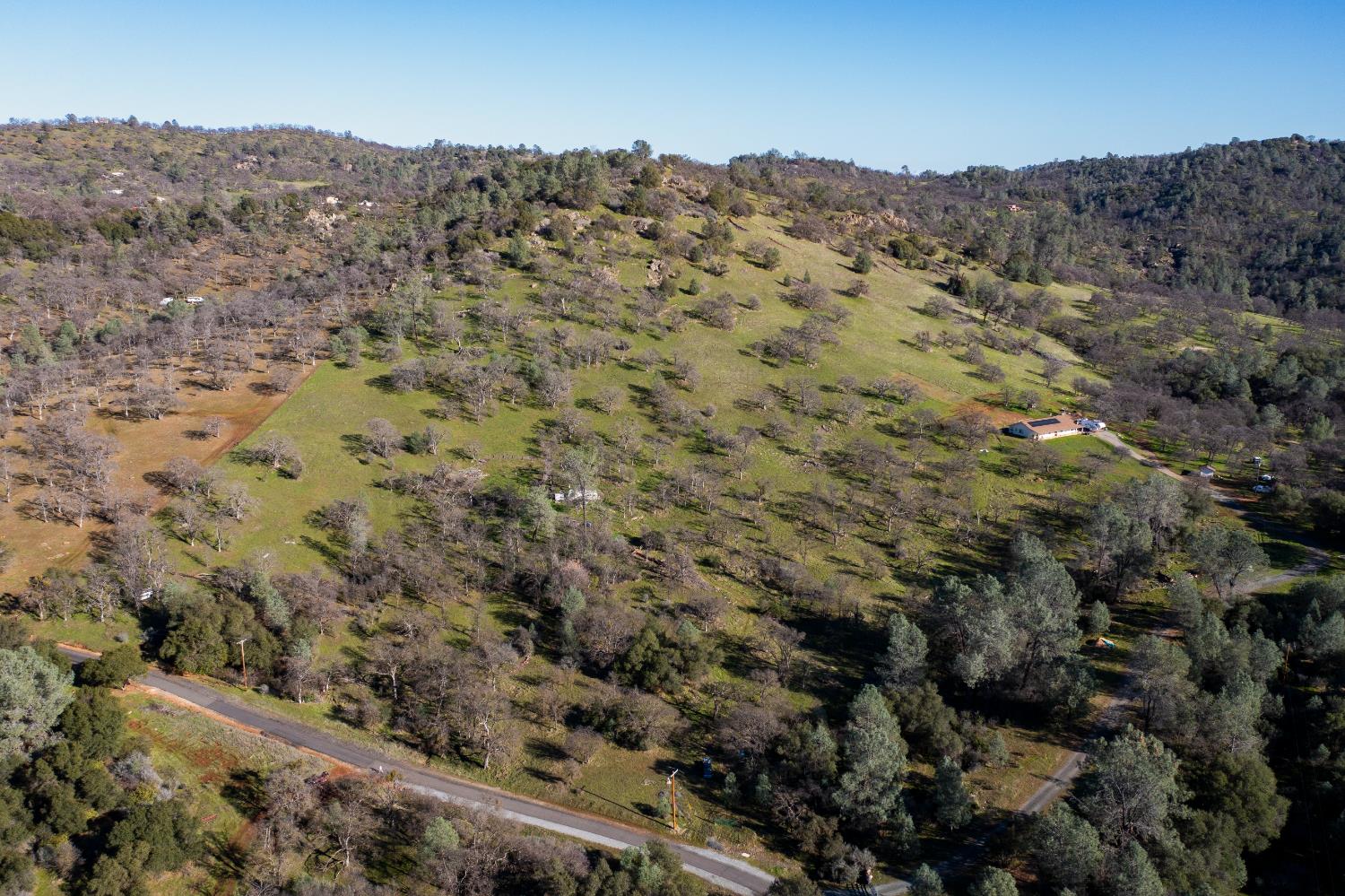 5271 Appaloosa Road Angels Camp, CA 95222 - Photo 2 of 4 a view of a dry field