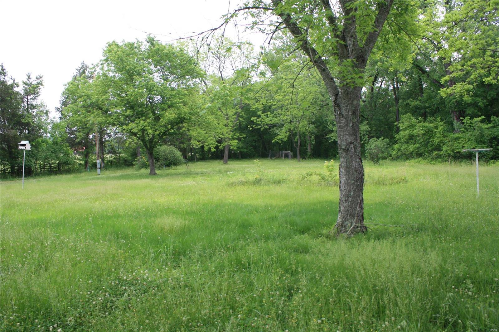 299 Wayne Rt Ee Silva, MO 63964 - Photo 8 of 25