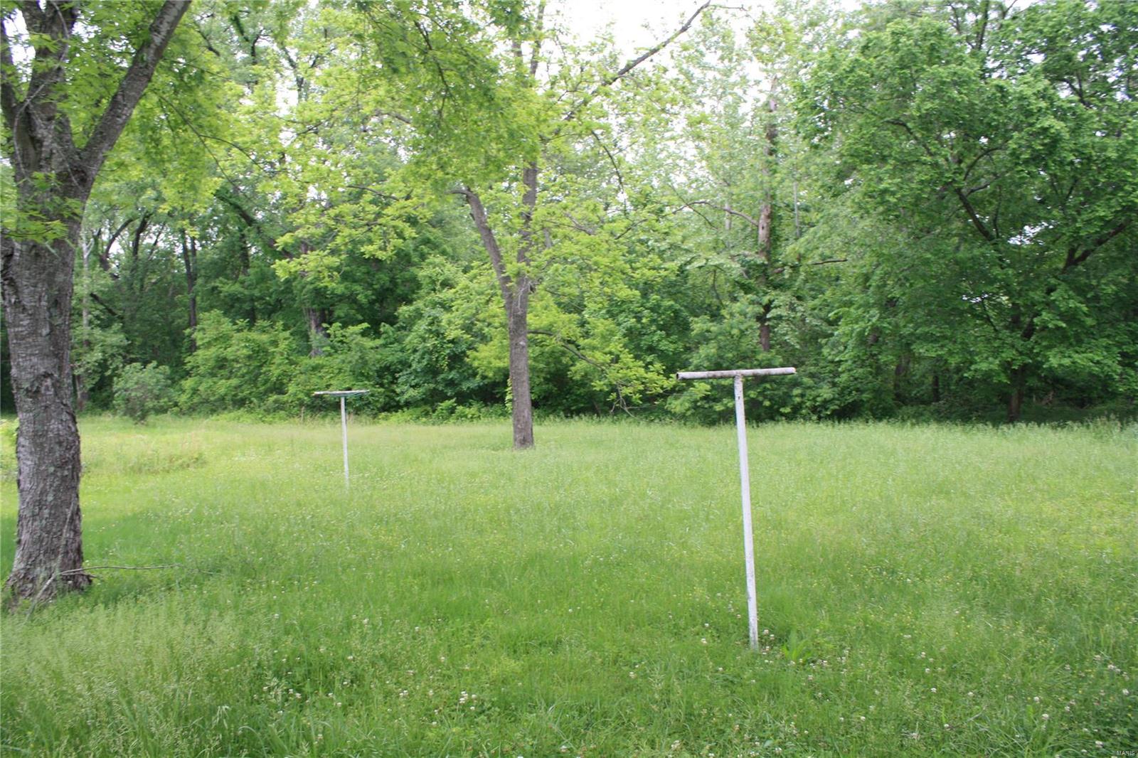 299 Wayne Rt Ee Silva, MO 63964 - Photo 9 of 25