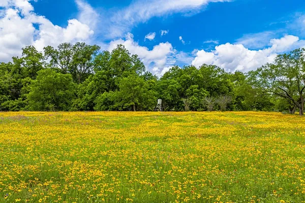 $1,325,000 | 1589-95 Farm To Market 1340, Hunt, TX 78024