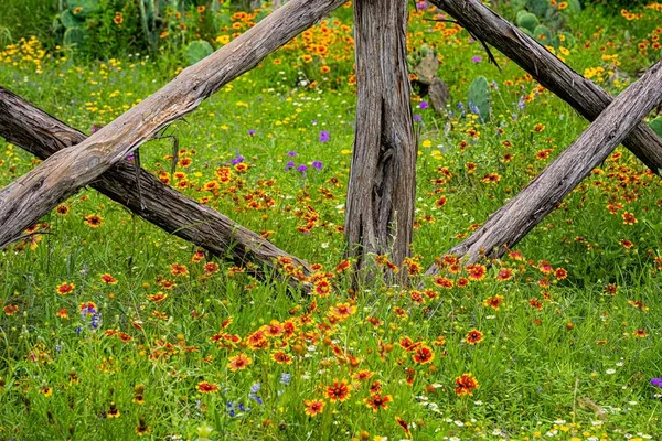 $1,325,000 | 1589-95 Farm To Market 1340, Hunt, TX 78024