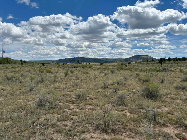 a view of a houses of a yard