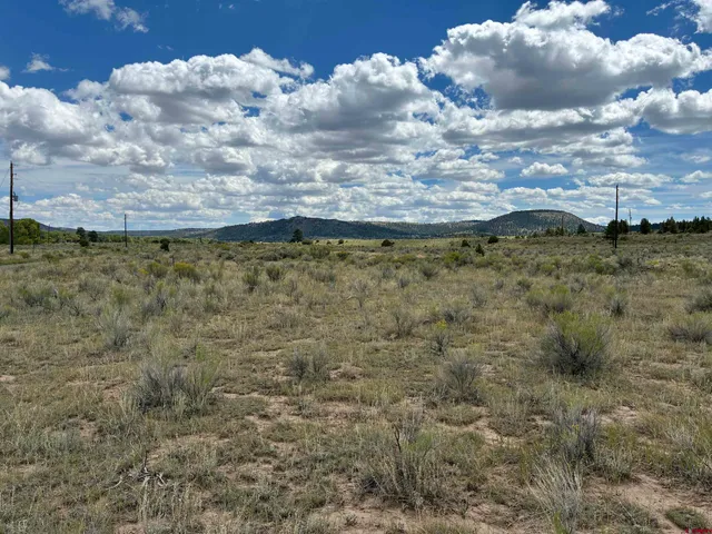a view of a houses of a yard