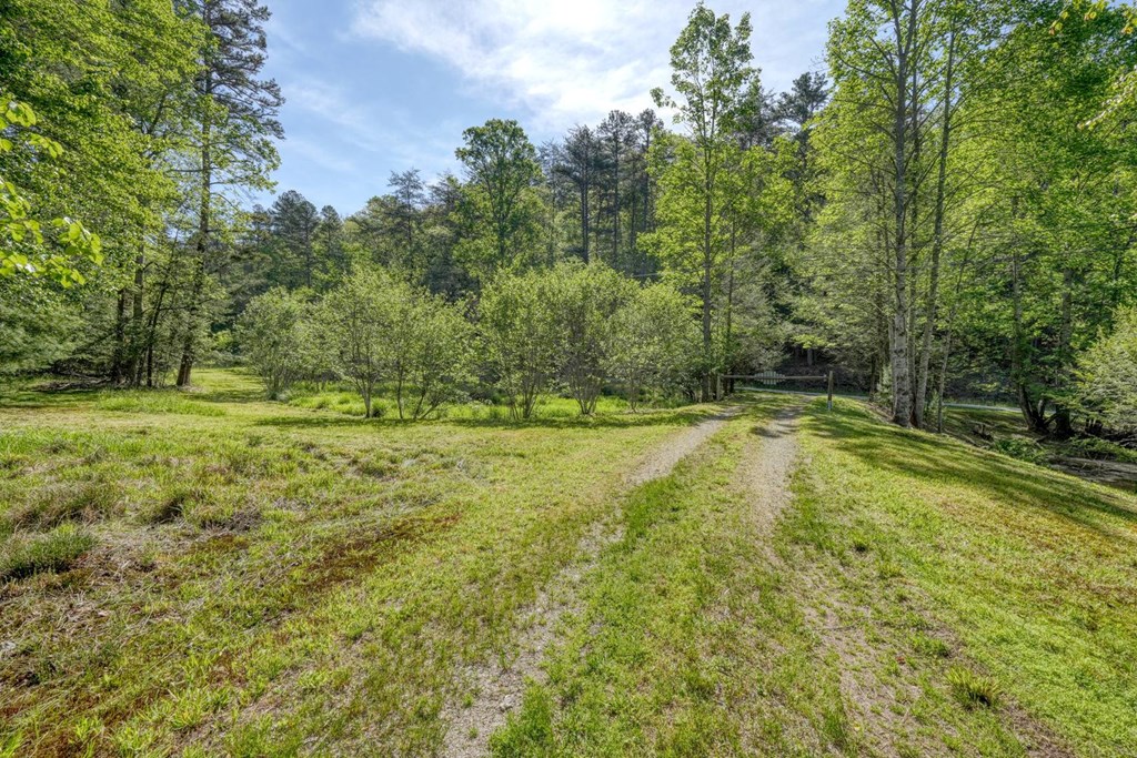 1493 Greasy Creek Road Brasstown, NC 28902 - Photo 51 of 51