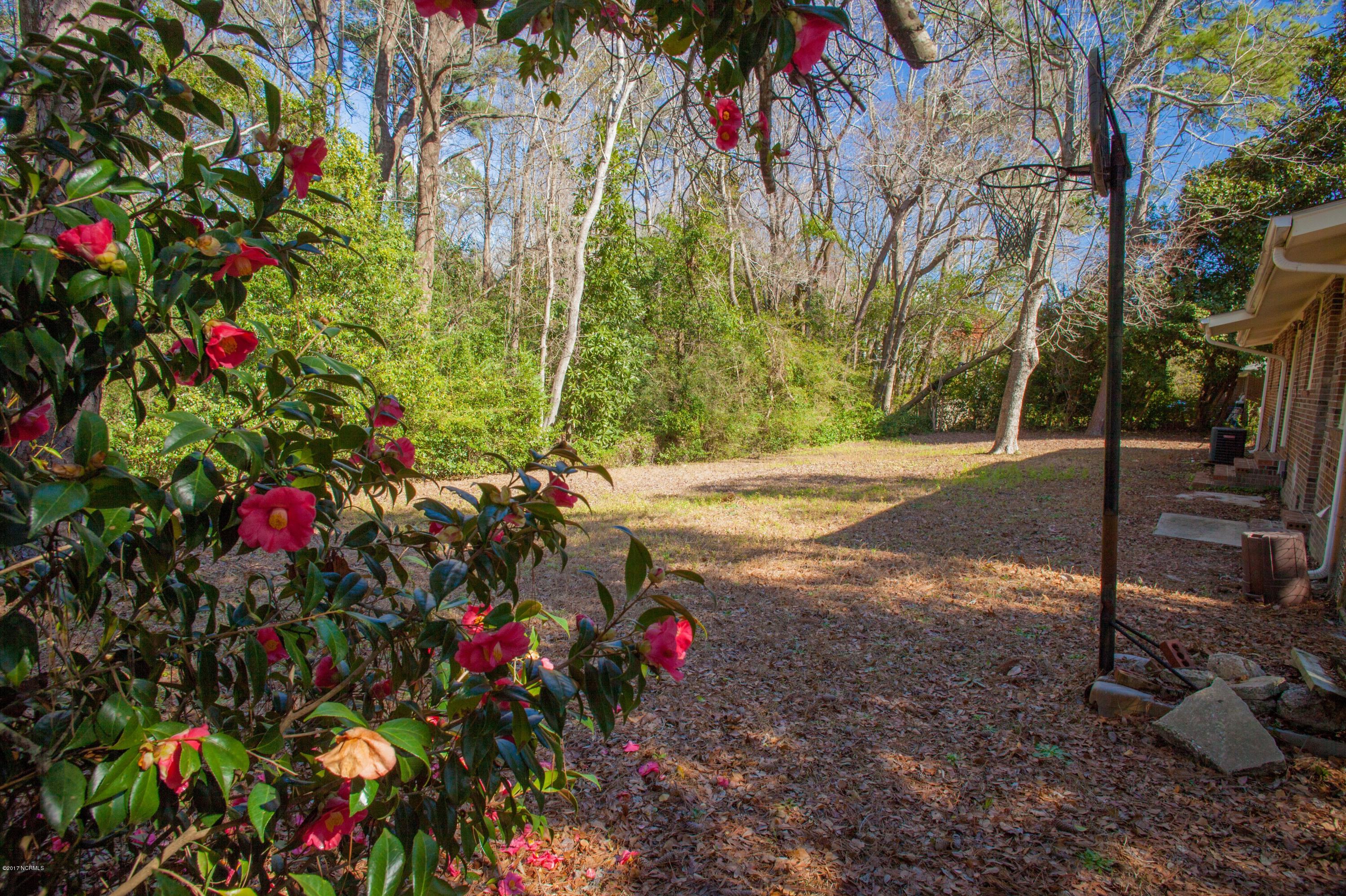 5327 Andover Road Wilmington, NC 28403 - Photo 23 of 26 5327 Andover-Med Res-47