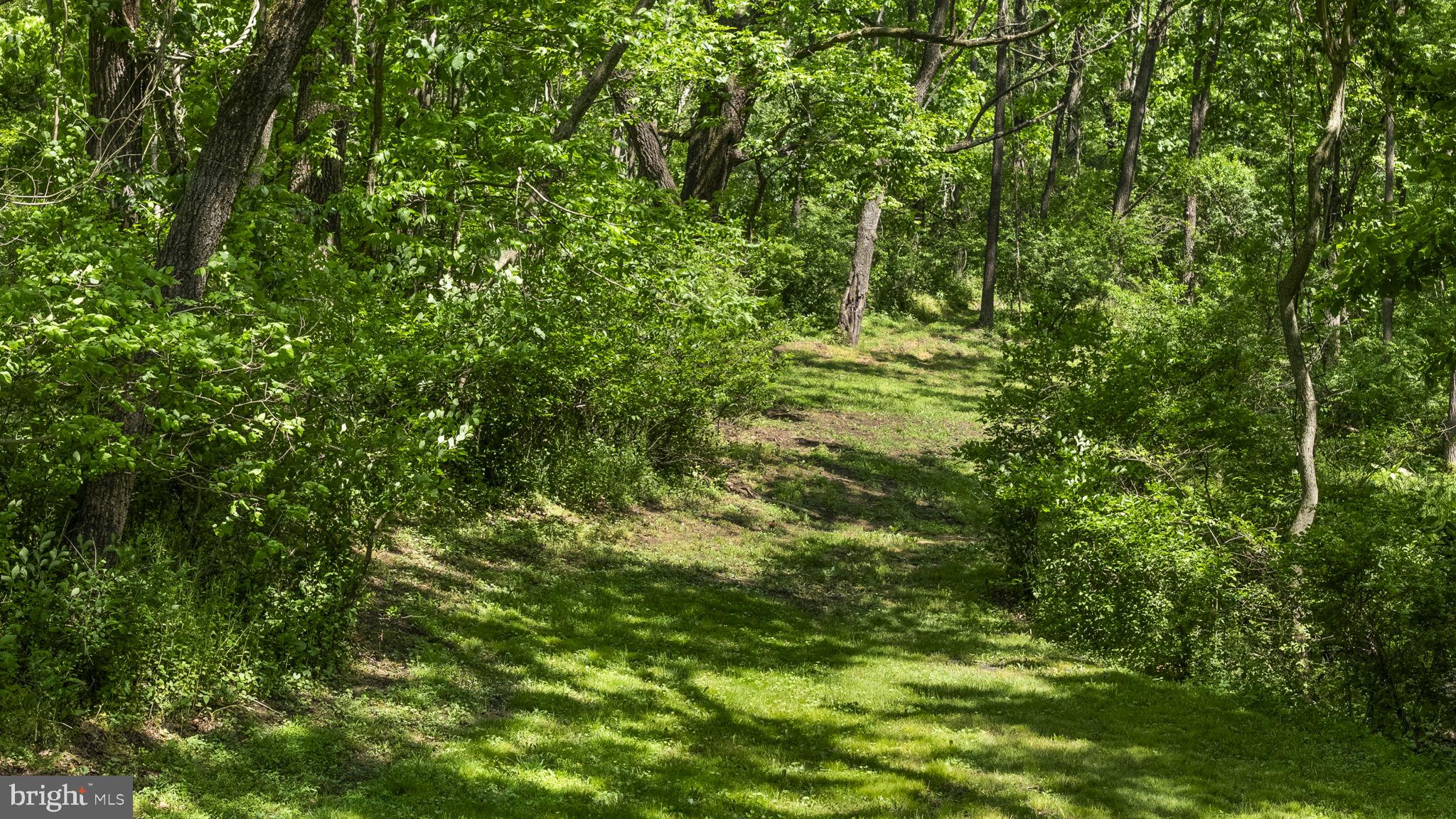 111 Garfield Road Leesport, PA 19533 - Photo 12 of 46 Lush green path through the woods.