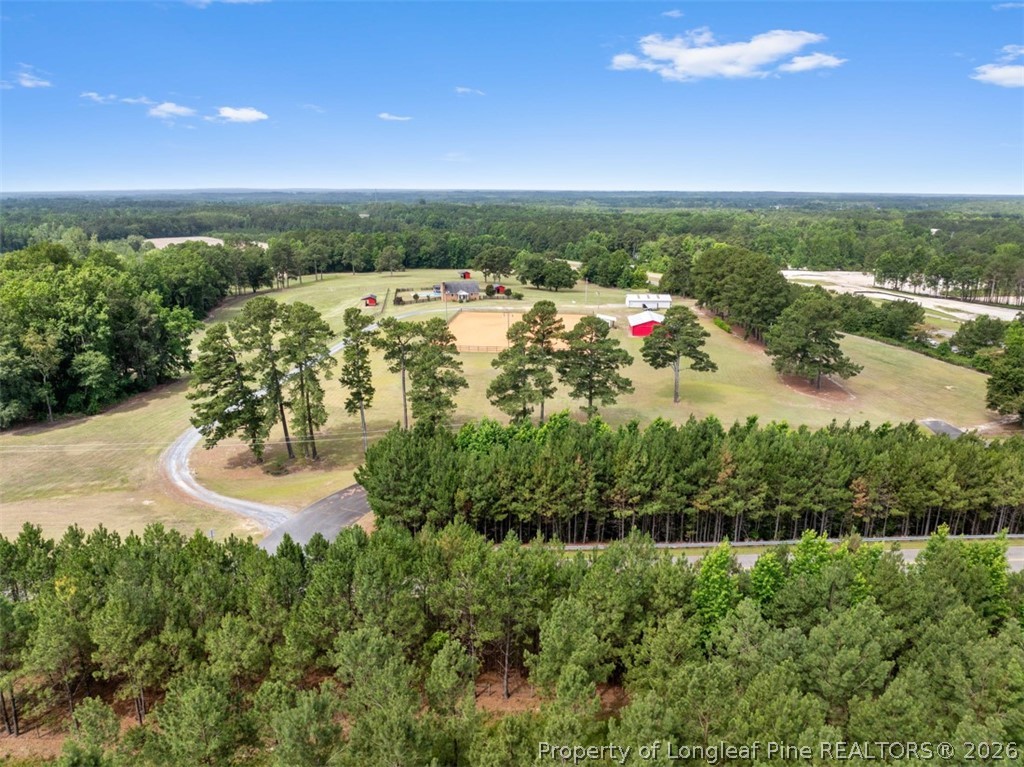 578 Atkins Road Cameron, NC 28326 - Photo 21 of 50