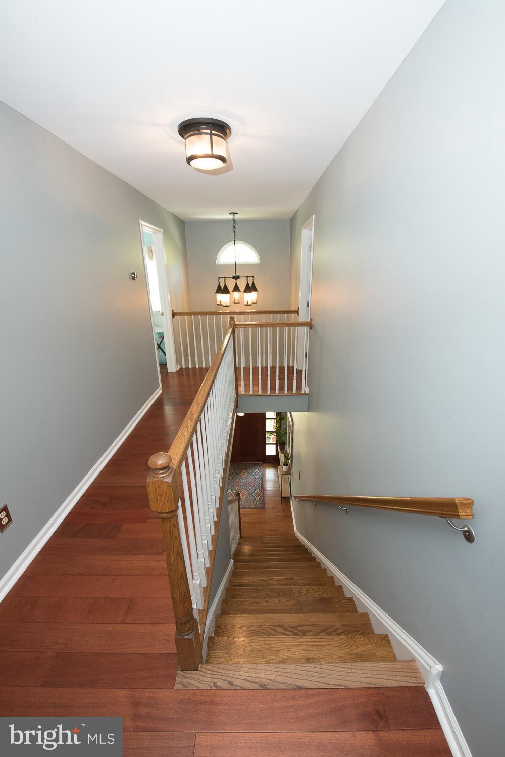 117 West Clearfield Road Havertown, PA 19083 - Photo 22 of 46 Gallery Image 22
