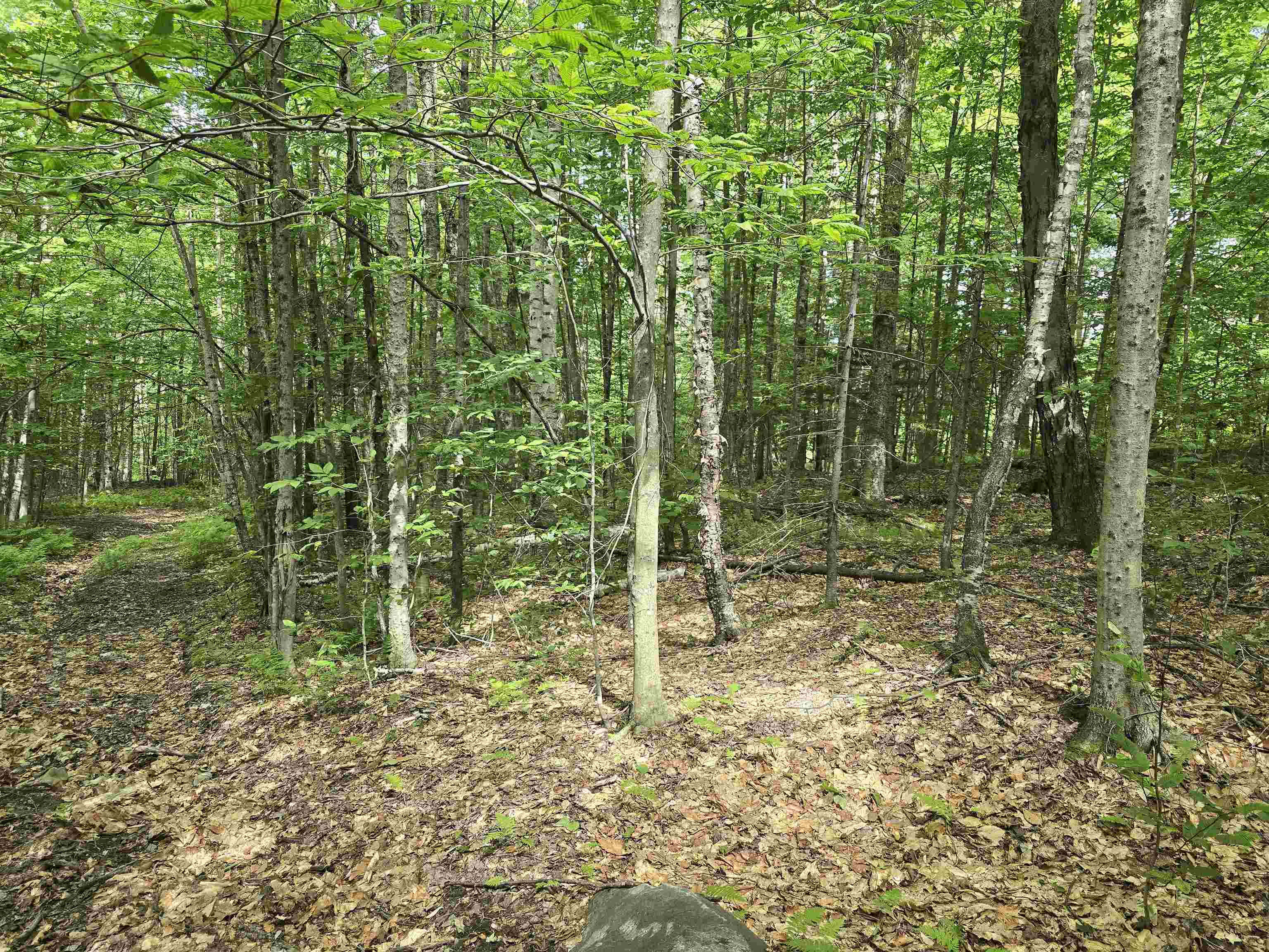 Tbd Farrar Road Chester, VT 05143 - Photo 24 of 24