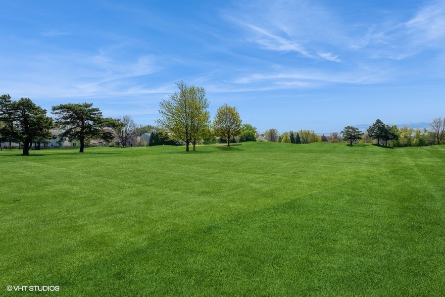1475 Golfview Drive Glendale Heights, IL 60139 - Photo 16 of 17 a view of a grassy field with trees in the background