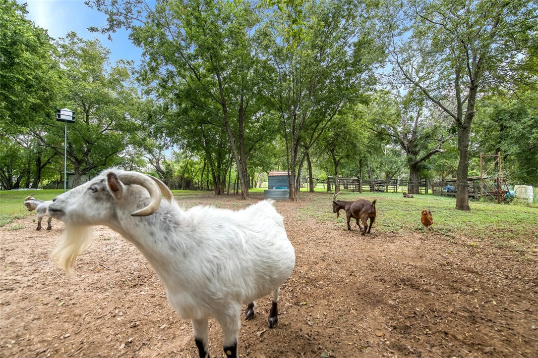 402 Erath Street Meridian, TX 76665 - Photo 41 of 42