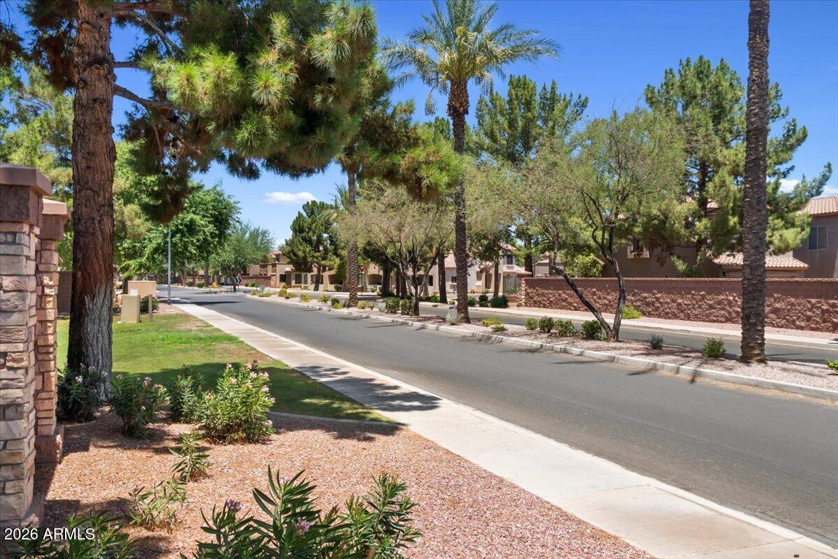 2600 East Springfield Place, Unit 87 Chandler, AZ 85286 - Photo 34 of 40 34-Look at all the trees