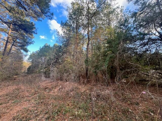 Nichols Road Leesville, LA 71446 - Photo 4 of 8 Gallery Image 4