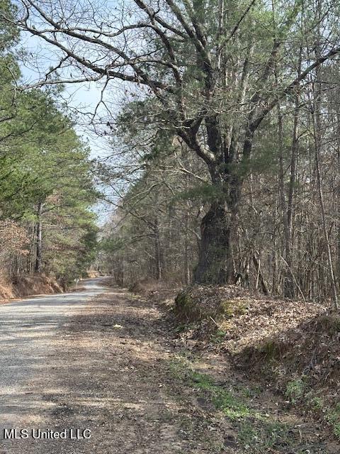 0 Cauthen Road Camden, MS 39045 - Photo 2 of 7 IMG_1109