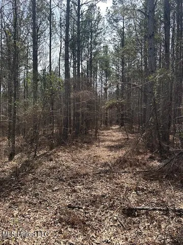 $358,800 | 0 Cauthen Road, Camden, MS 39045