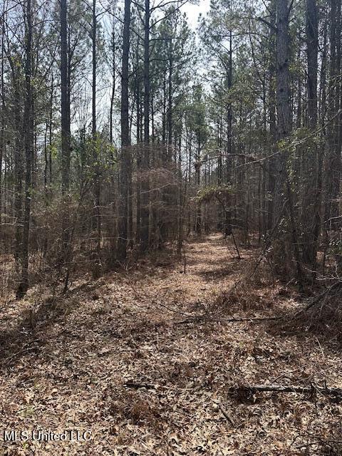 0 Cauthen Road Camden, MS 39045 - Photo 3 of 7 IMG_1110