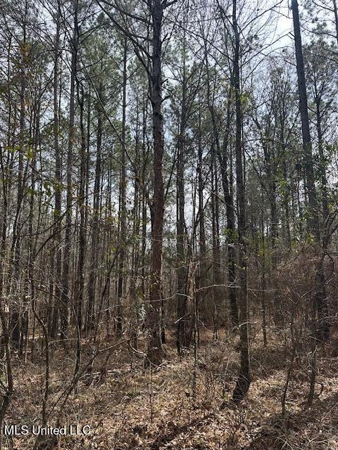 0 Cauthen Road Camden, MS 39045 - Photo 4 of 7 IMG_1111