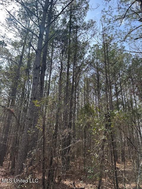 0 Cauthen Road Camden, MS 39045 - Photo 5 of 7 IMG_1112