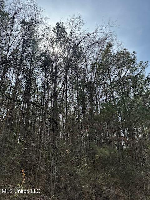 0 Cauthen Road Camden, MS 39045 - Photo 6 of 7 IMG_1113