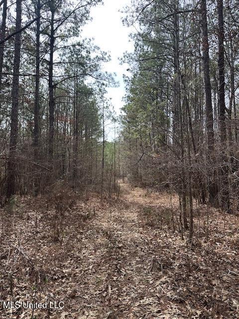 0 Cauthen Road Camden, MS 39045 - Photo 7 of 7 IMG_1114