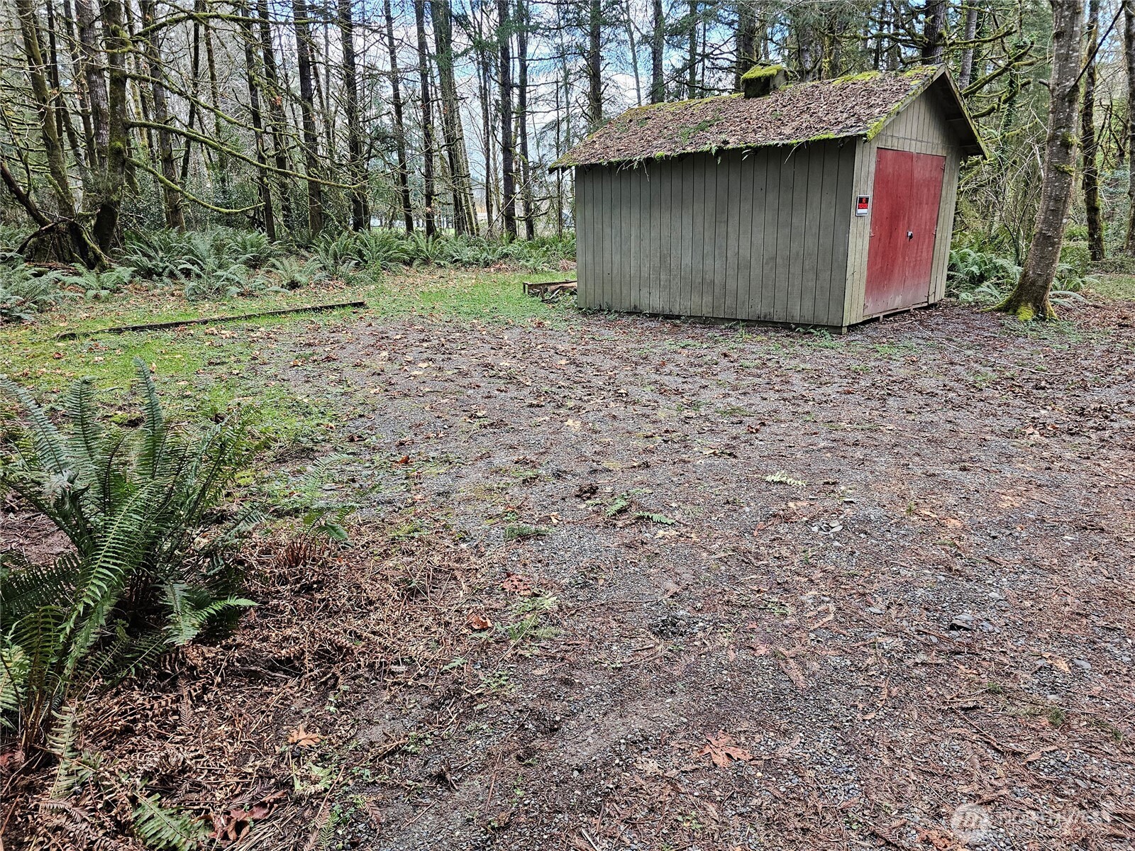 3017 Graf Road Centralia, WA 98531 - Photo 12 of 39