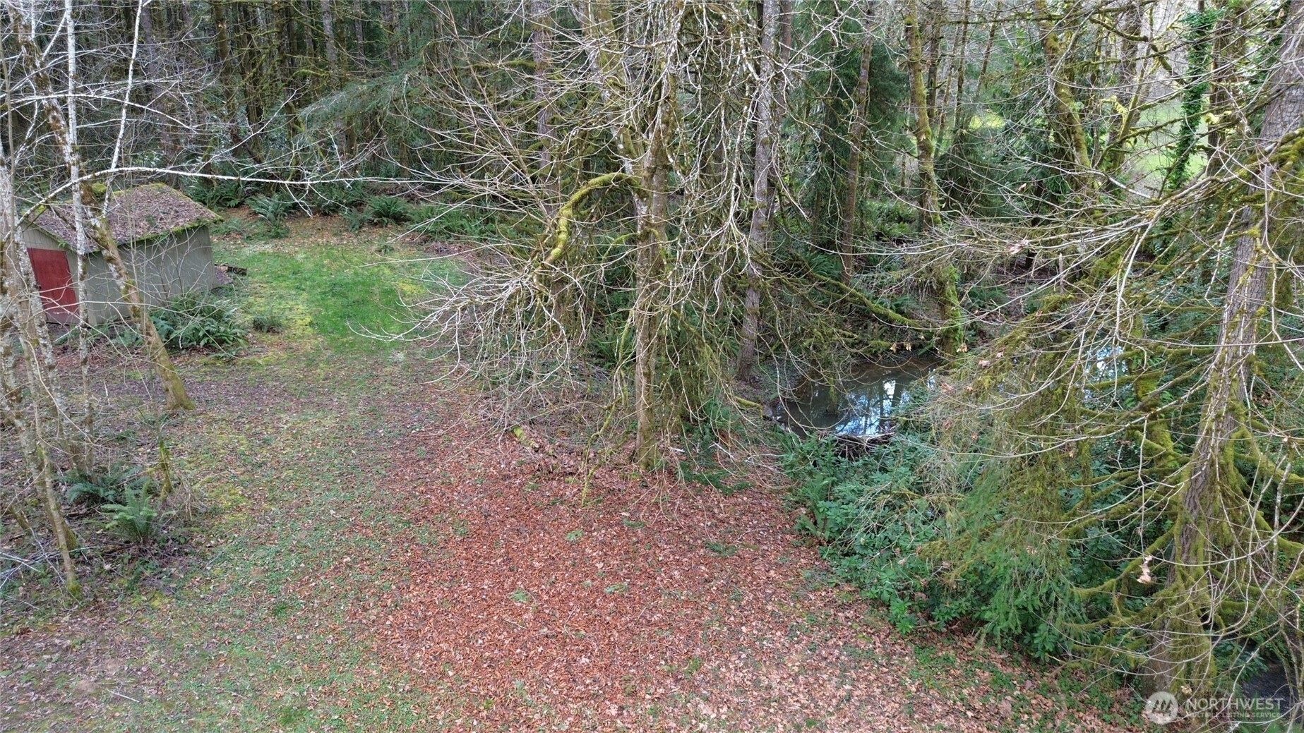 3017 Graf Road Centralia, WA 98531 - Photo 17 of 39