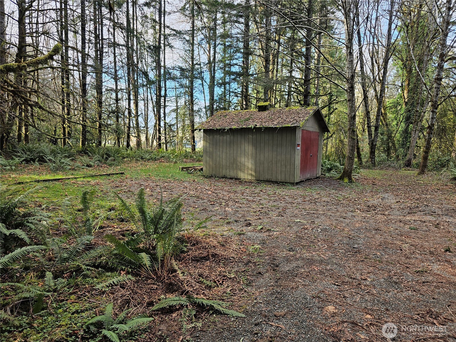 3017 Graf Road Centralia, WA 98531 - Photo 18 of 39