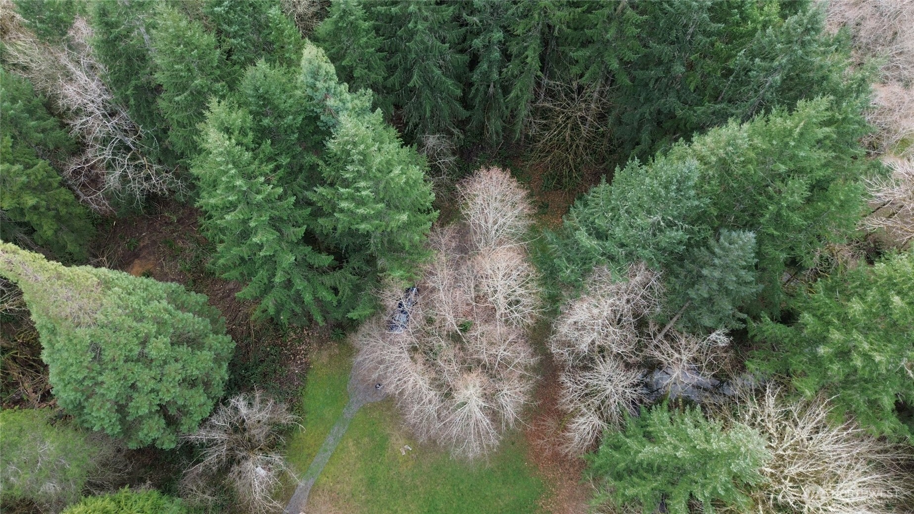 3017 Graf Road Centralia, WA 98531 - Photo 19 of 39