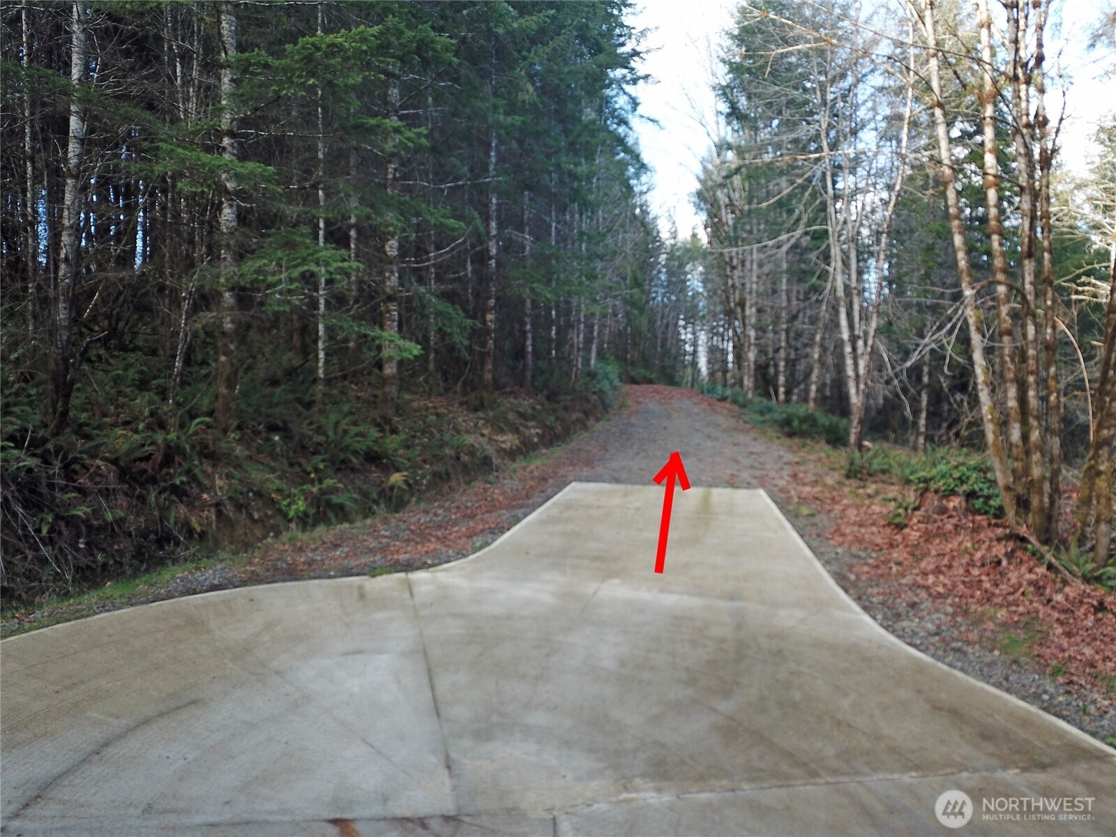 3017 Graf Road Centralia, WA 98531 - Photo 24 of 39