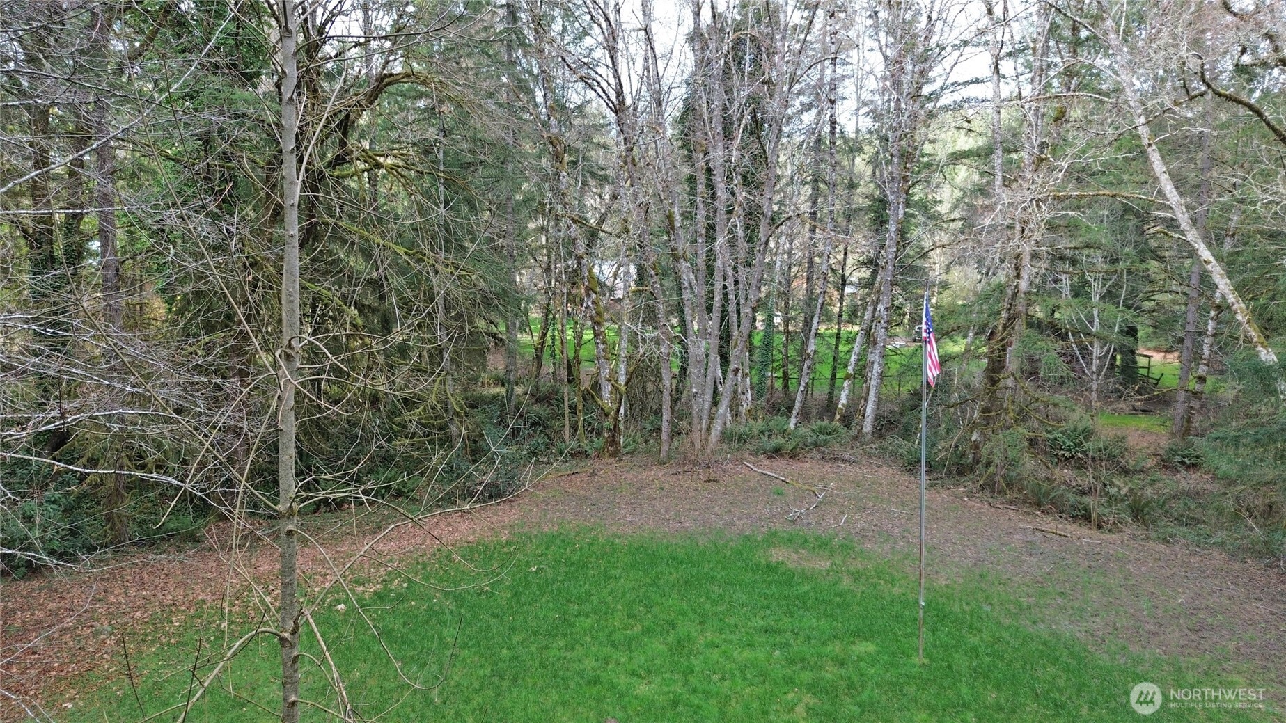 3017 Graf Road Centralia, WA 98531 - Photo 3 of 39