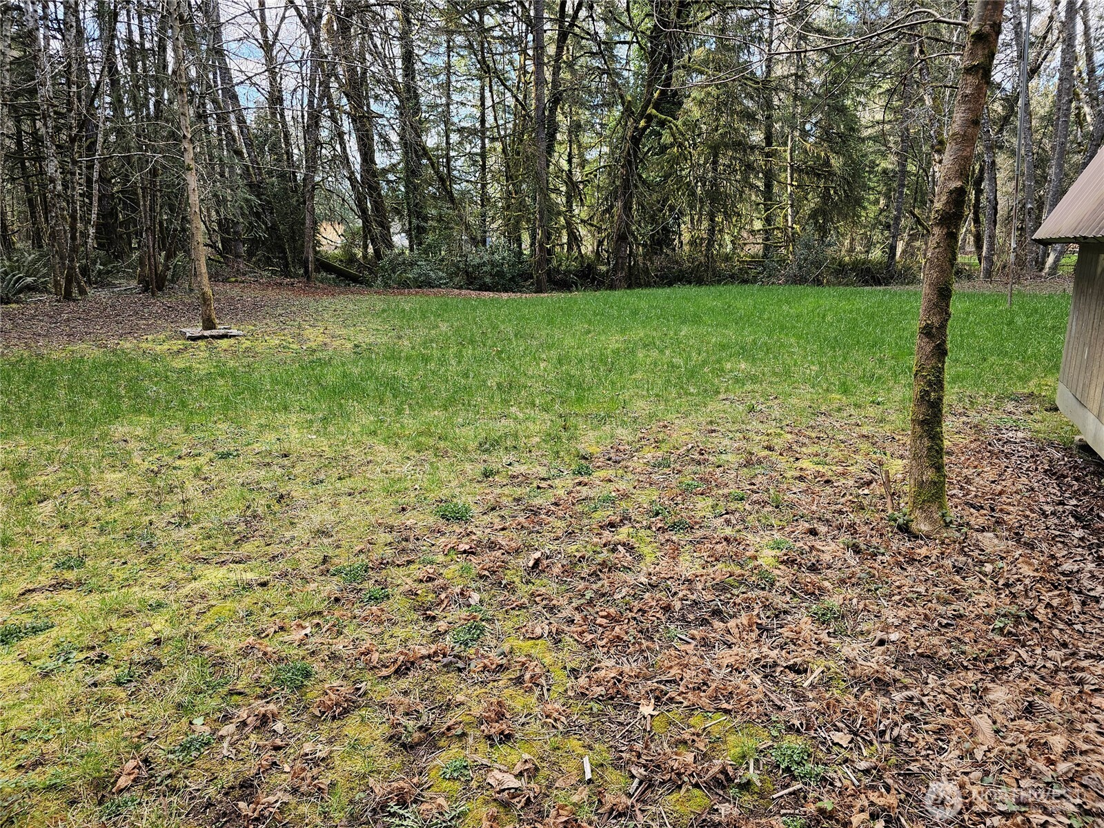 3017 Graf Road Centralia, WA 98531 - Photo 34 of 39