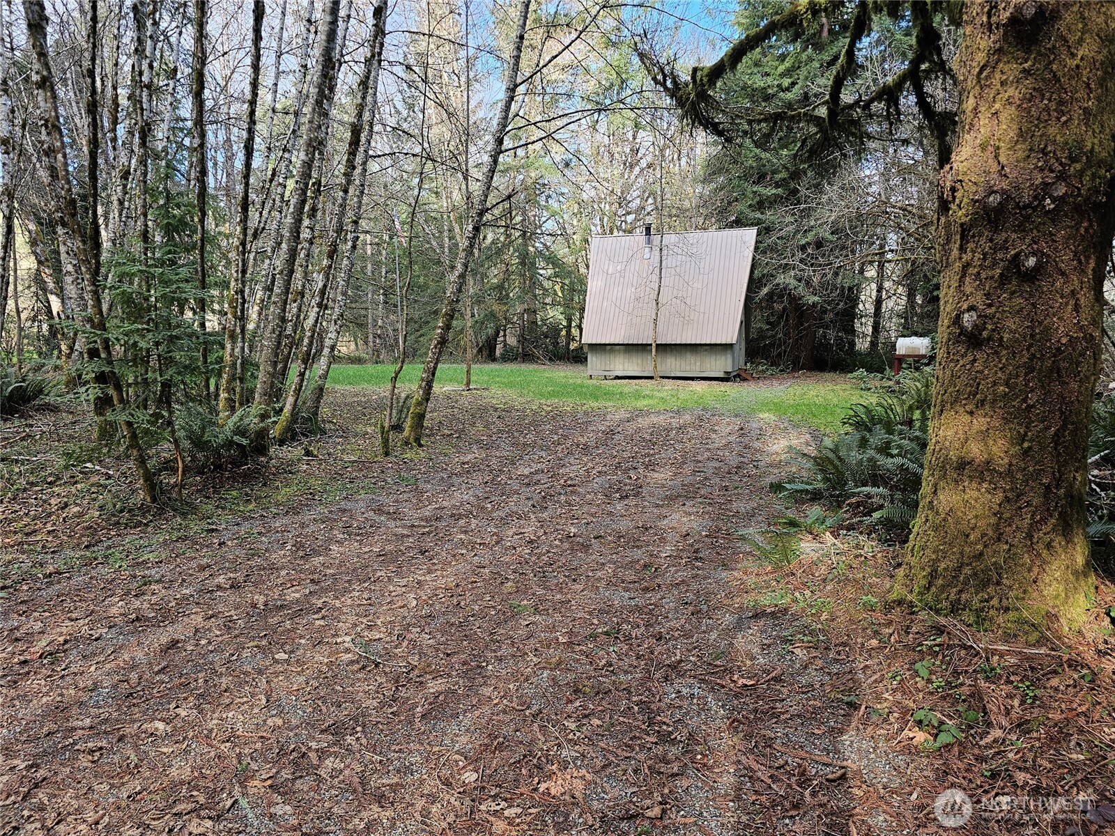 3017 Graf Road Centralia, WA 98531 - Photo 35 of 39