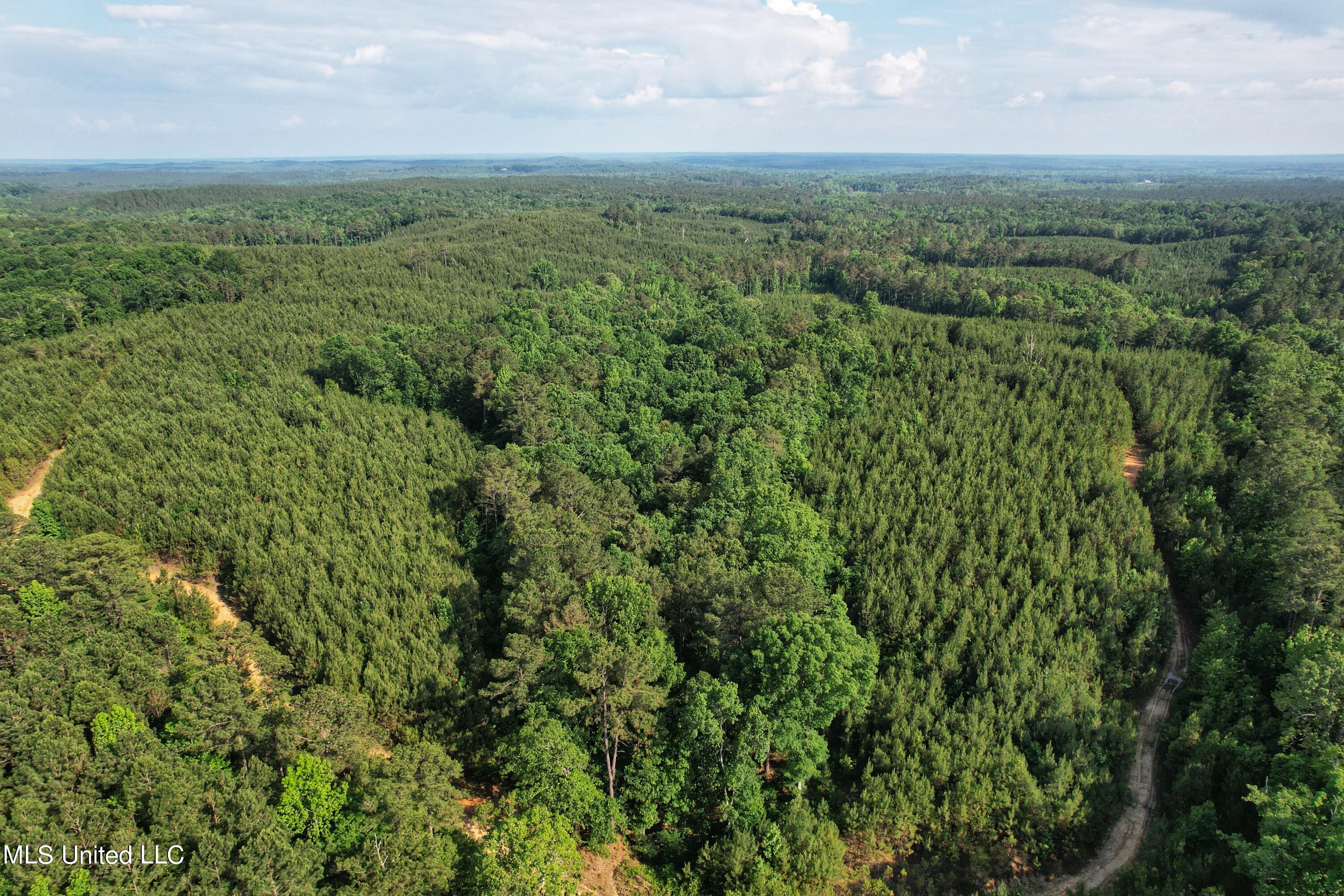 174+/- acres in Montgomery County, MS