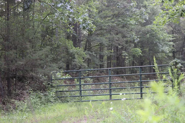 $395,750 | Tom Mans Road Road, Vaiden, MS 39176