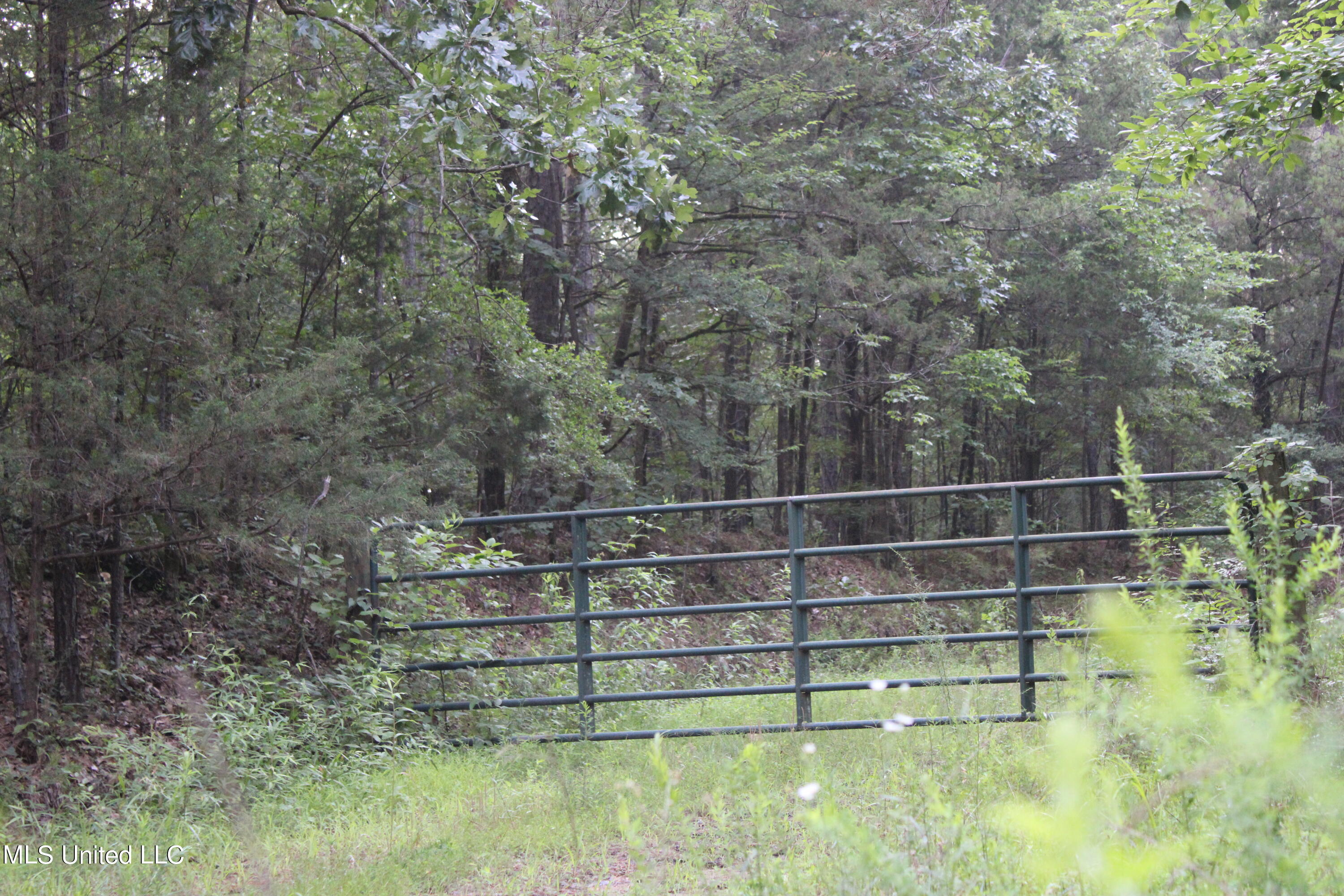 Tom Mans Road Vaiden, MS 39176 - Photo 5 of 5 IMG_0749