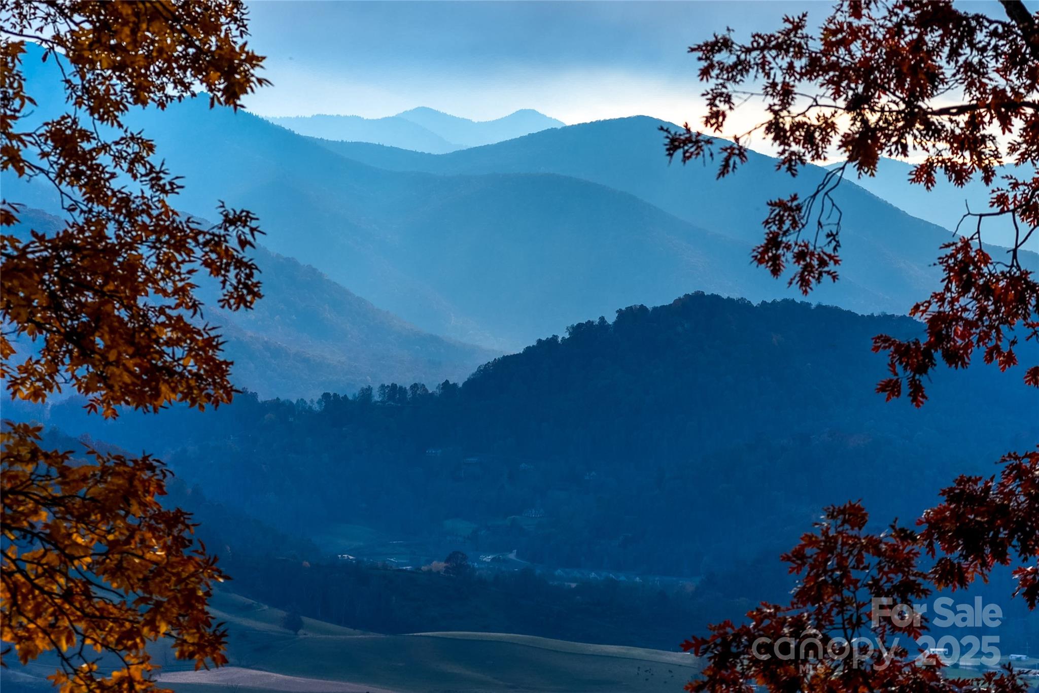 1954 Utah Mountain Road Waynesville, NC 28785 - Photo 37 of 39 a view of a house with a tree in the background