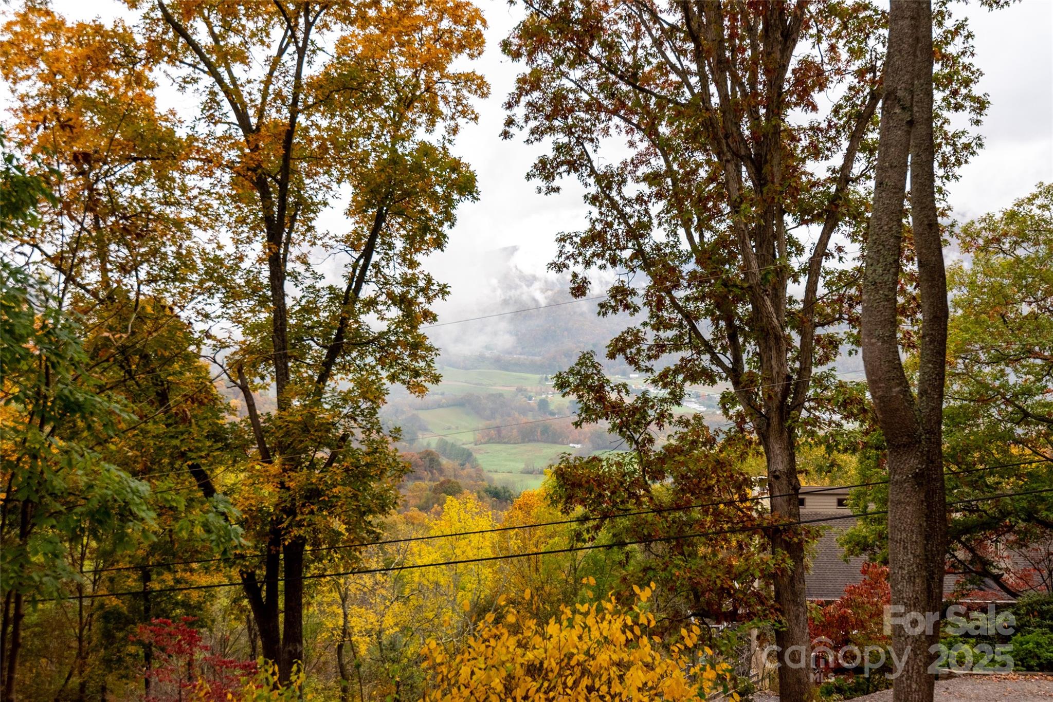 1954 Utah Mountain Road Waynesville, NC 28785 - Photo 38 of 39 a backyard of a house