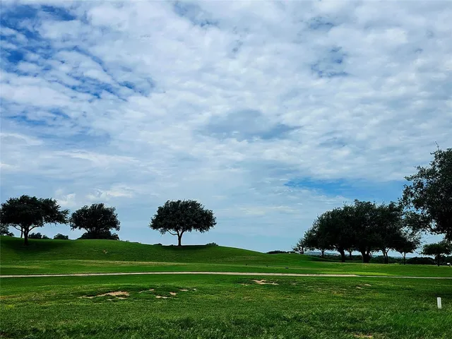 a view of a big yard with lots of green space