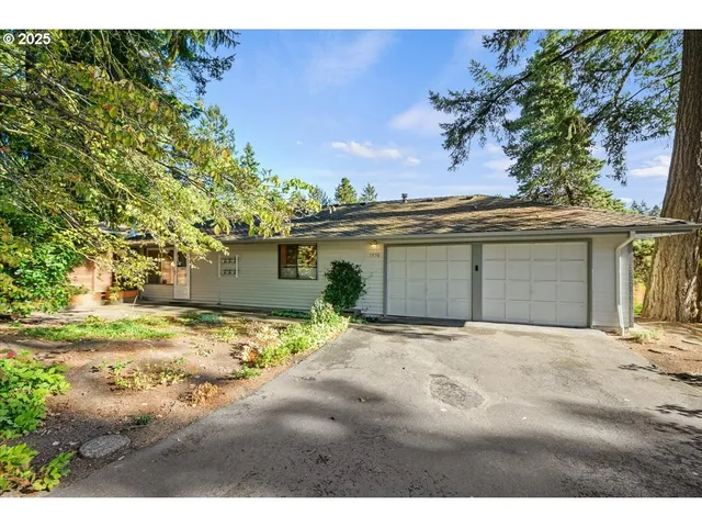a view of a house with a outdoor space and covered with trees