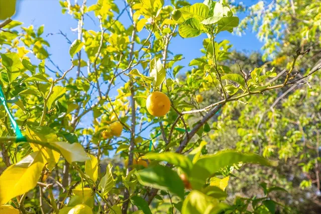 $769,000 | 18117 Berta Canyon Road, Salinas, CA 93907