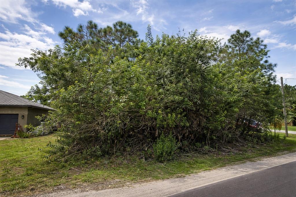 3342 Fitzpatrick Avenue Palm Bay, FL 32908 - Photo 2 of 3 a view of a house with a yard and tree s
