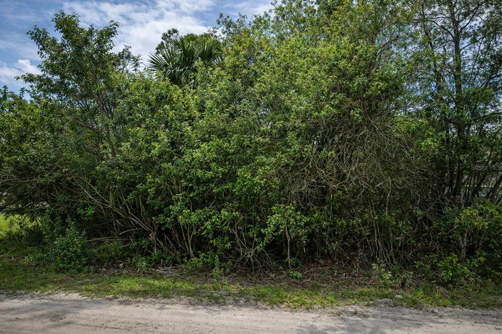 3342 Fitzpatrick Avenue Palm Bay, FL 32908 - Photo 3 of 3 a view of a yard