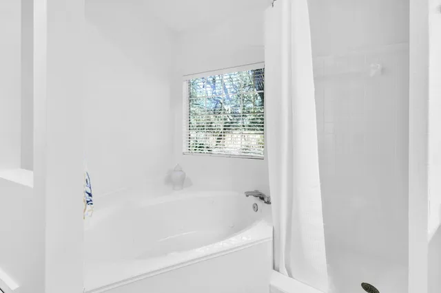 a view of a yard with plants and a large tree