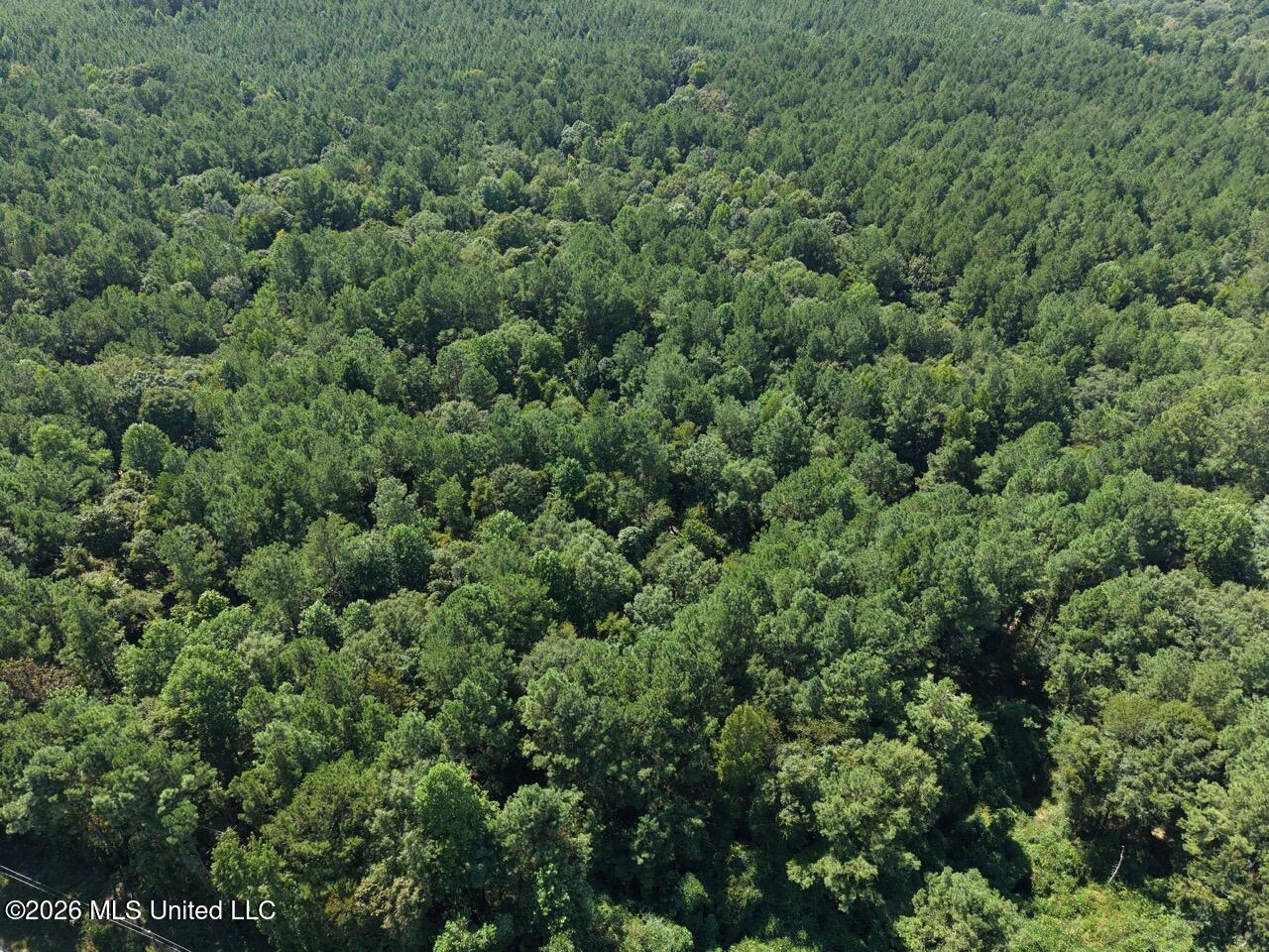 1669 Burt Jordan Road McCall Creek, MS 39647 - Photo 5 of 40 DJI_20260812152328_0079_D Large